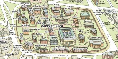 Harta de la universitatea Harvard